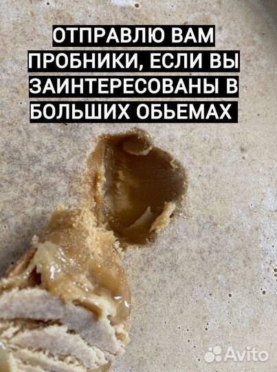 Оптом Мед с Алтая