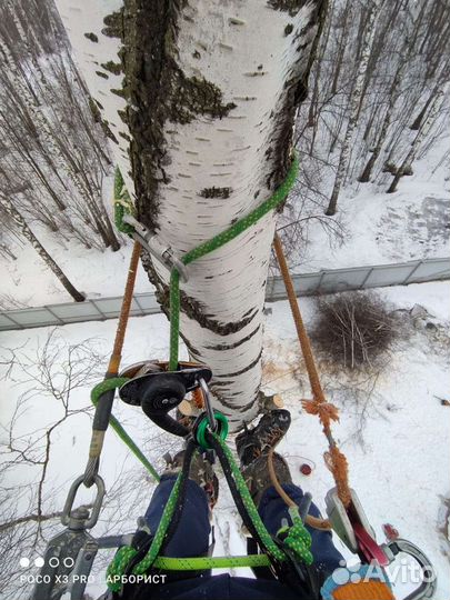 Спил деревьев г. Сергиев Посад