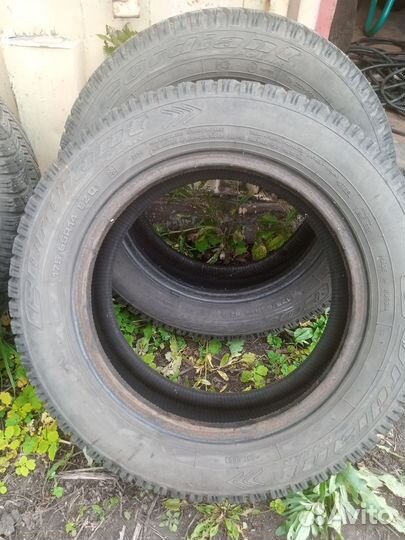 Cordiant Polar 175/70 R14