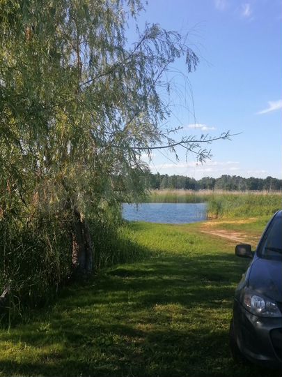 Дом 40 м² на участке 15 сот.