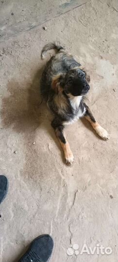 Девочка подросток