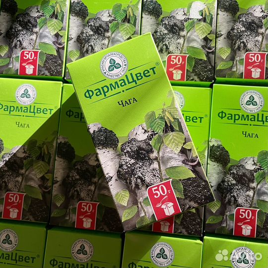 Чага чай