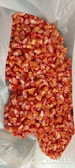 Семена сладкой кукурузы бондюэль