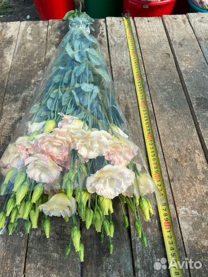 Цветы с доставкой