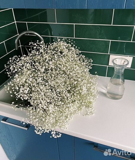 Гипсофила Букет из гипсофилы