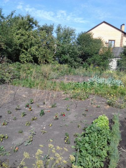 Дача 30 м² на участке 13 сот.