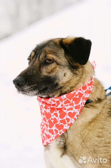 Мира мечтает найти семью