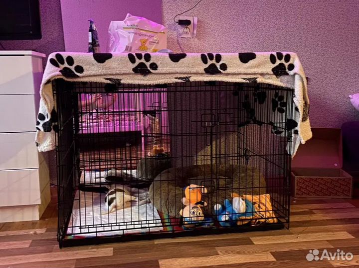 Клетка для собак №5 размер 100х70х76см