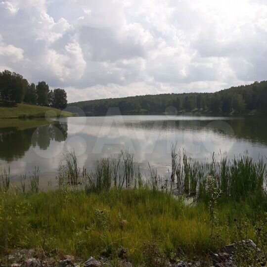 Участок 12,5 га (СНТ, ДНП)