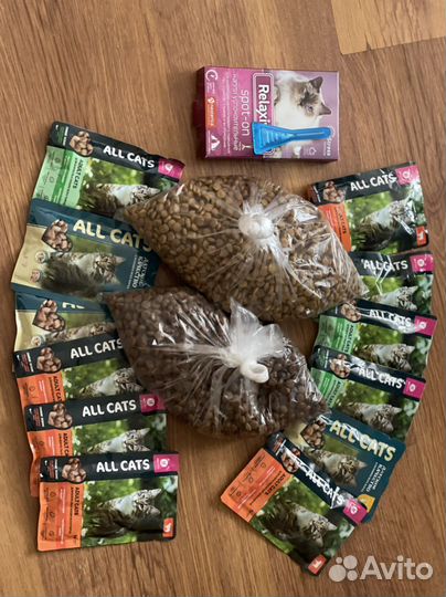 Корм и принадлежности для кошек