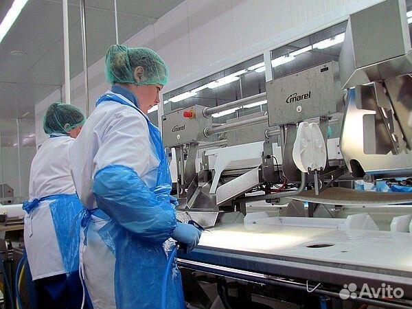 Рыбообрабатывающий рабочий на производство