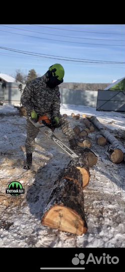 Спил деревьев. Обрезка. Расчистка участка