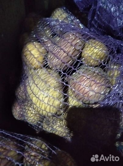 Картофель на еду