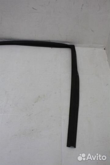 Уплотнитель стекла двери задней левой Nissan X-Tr