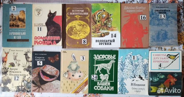 Книги по интересам