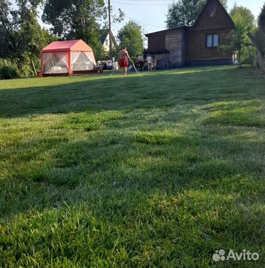 Газон. Рулонный газон