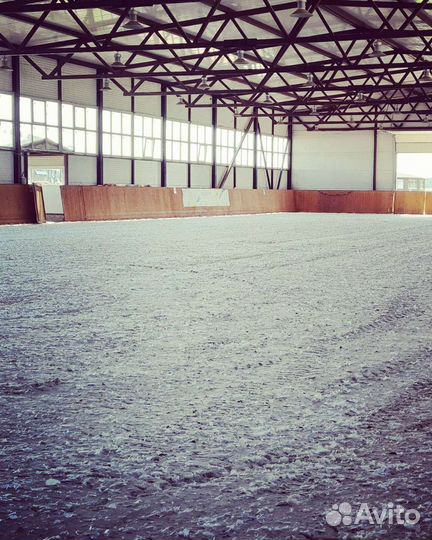 Постой для лошадей