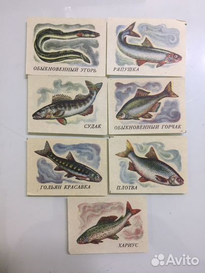 Этикетки спичечные СССР