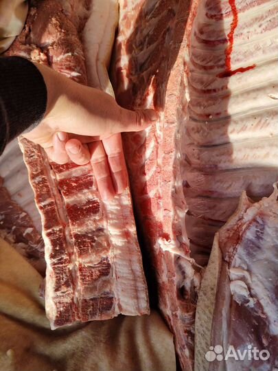 Мясо свинины