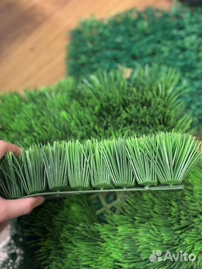 Аквариумное растение, диорама