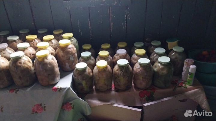 Грибы грузди соленые