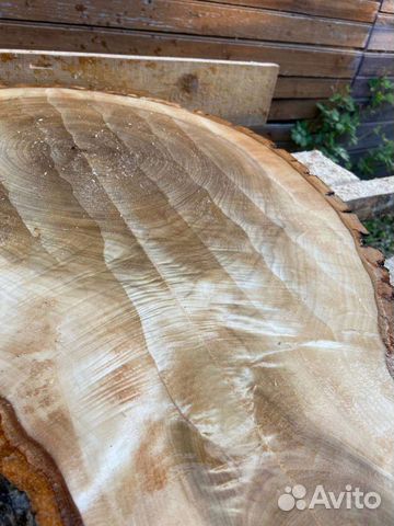 Слебы спилы дерева