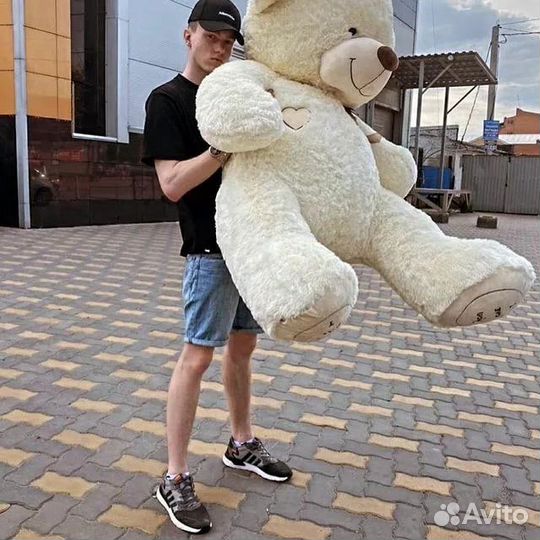 Плюшевые медведи Новые