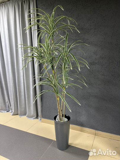 Искусственные деревья декоративные