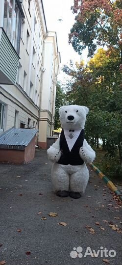 Ростовая кукла. Белый медведь Умка. Аниматор
