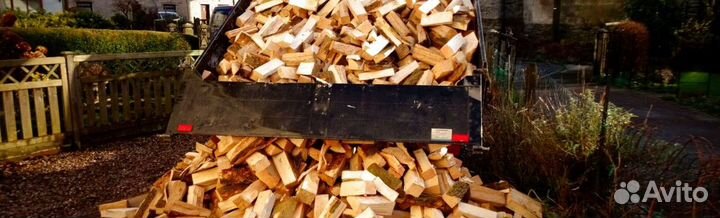 Дрова не гнелые