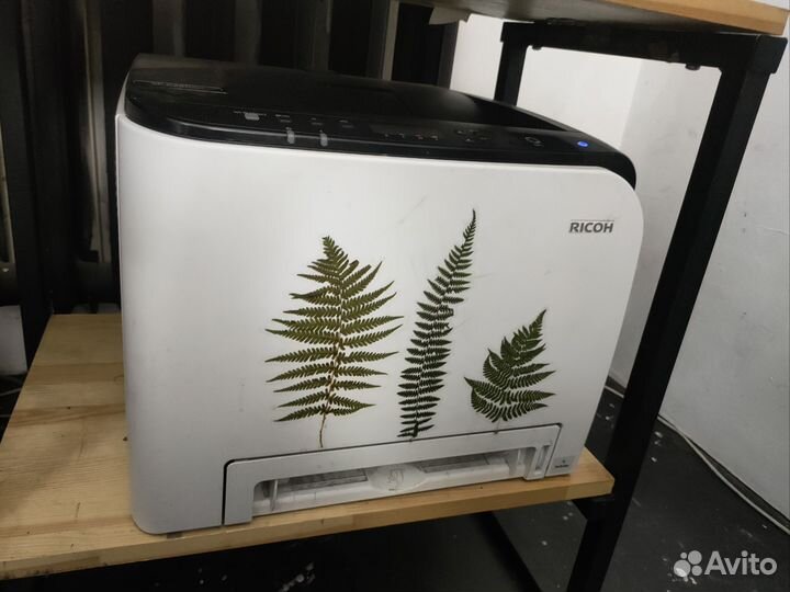 Принтер Ricoh SP C261