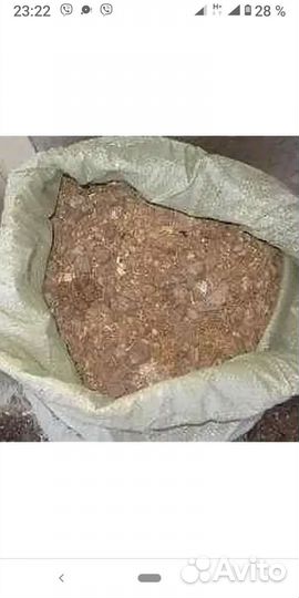 Куриный помёт