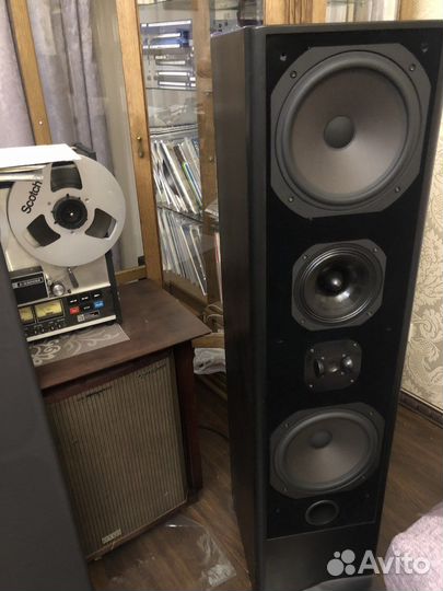 Лучшая акустика ALR Number 7