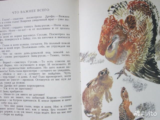 Детям о животных и русский язык в картинках