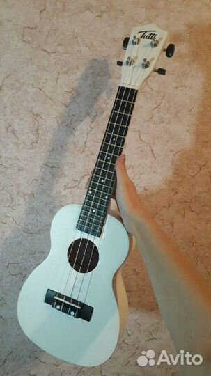 Укулеле концерт