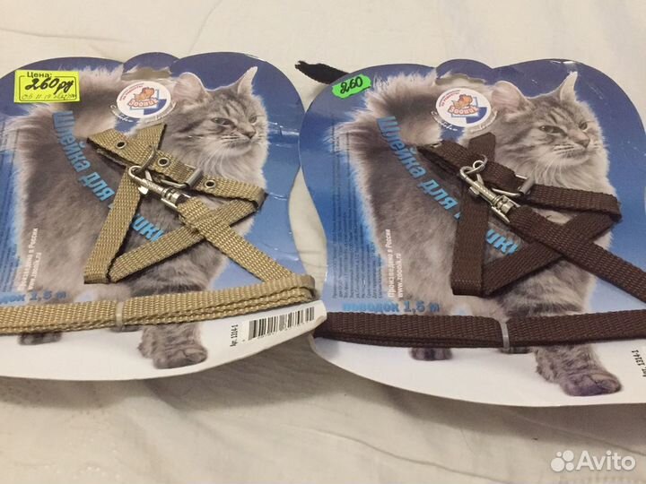 Одежда для собак