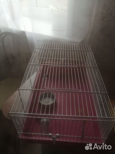Клетка для грызунов бу