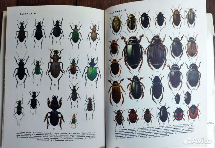 5 книг разных, насекомые, рыбы, животные, мхи