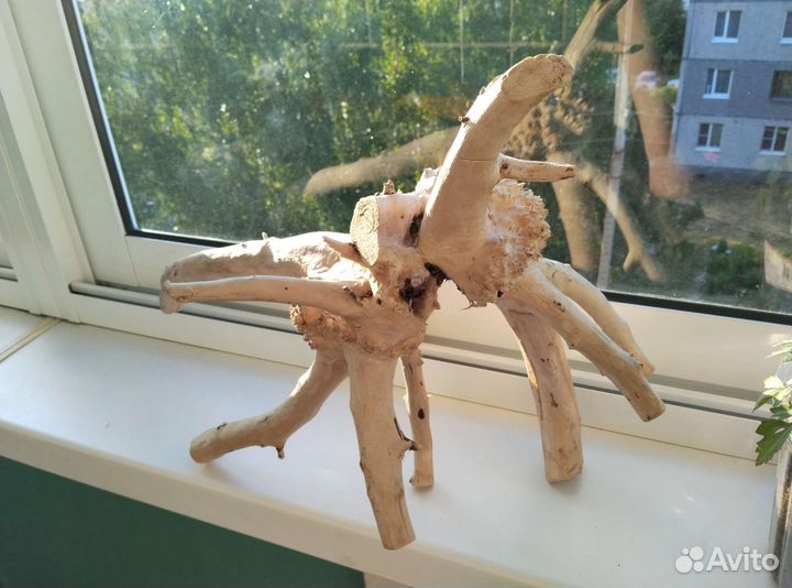 Коряга в террариум или для декора