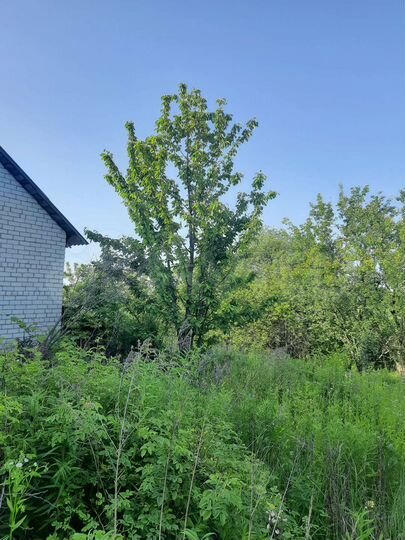 Дача 30 м² на участке 9 сот.