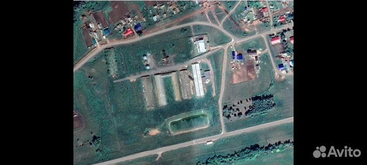 Платная рыбалка