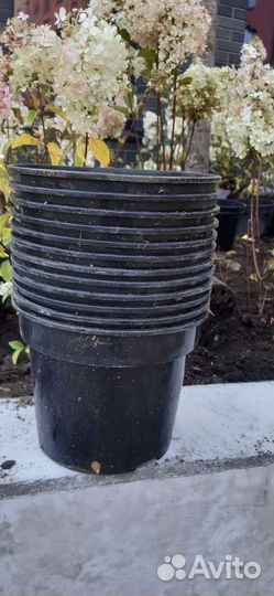 Горшки для рассады