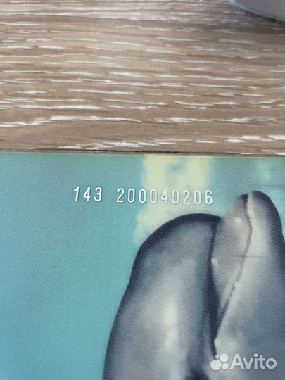 Сноуборд с креплениями и ботинками DC Biddy 143