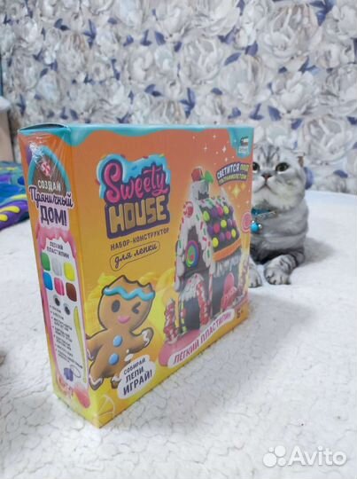 Набор конструктор для лепки Sweety House 5+