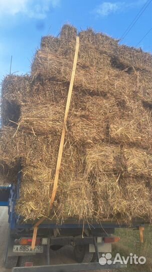 Сено в тюках