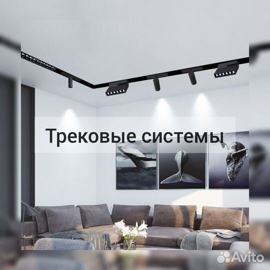 Трековая система