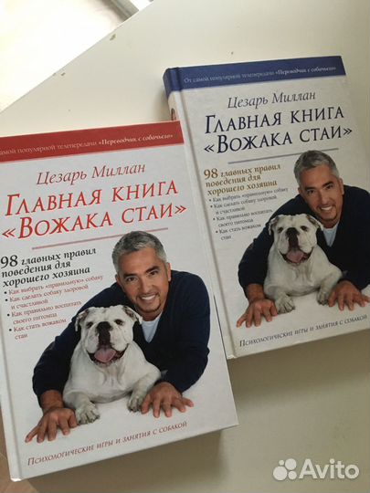 Книга Цезарь Миллан