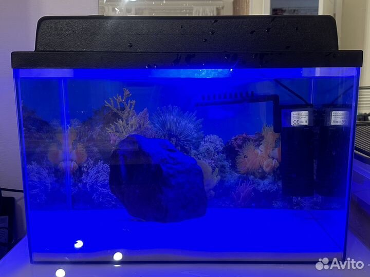 Аквариум, фильтр, компрессор