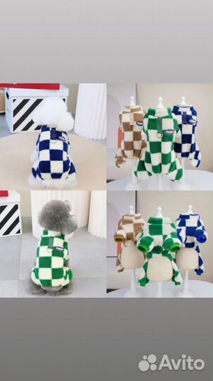 Одежда для собак