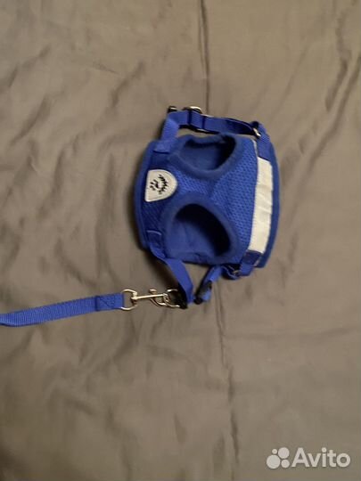 Шлейка для маленькой собаки